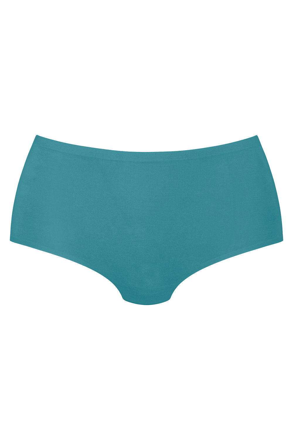Anita Brief 1343 189 Light Emerald Green Maxi Essential Brief - Shirley Allum Boutique