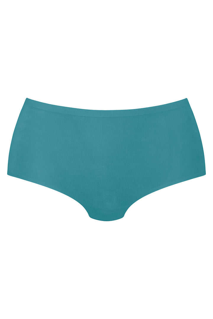 Anita Brief 1343 189 Light Emerald Green Maxi Essential Brief - Shirley Allum Boutique