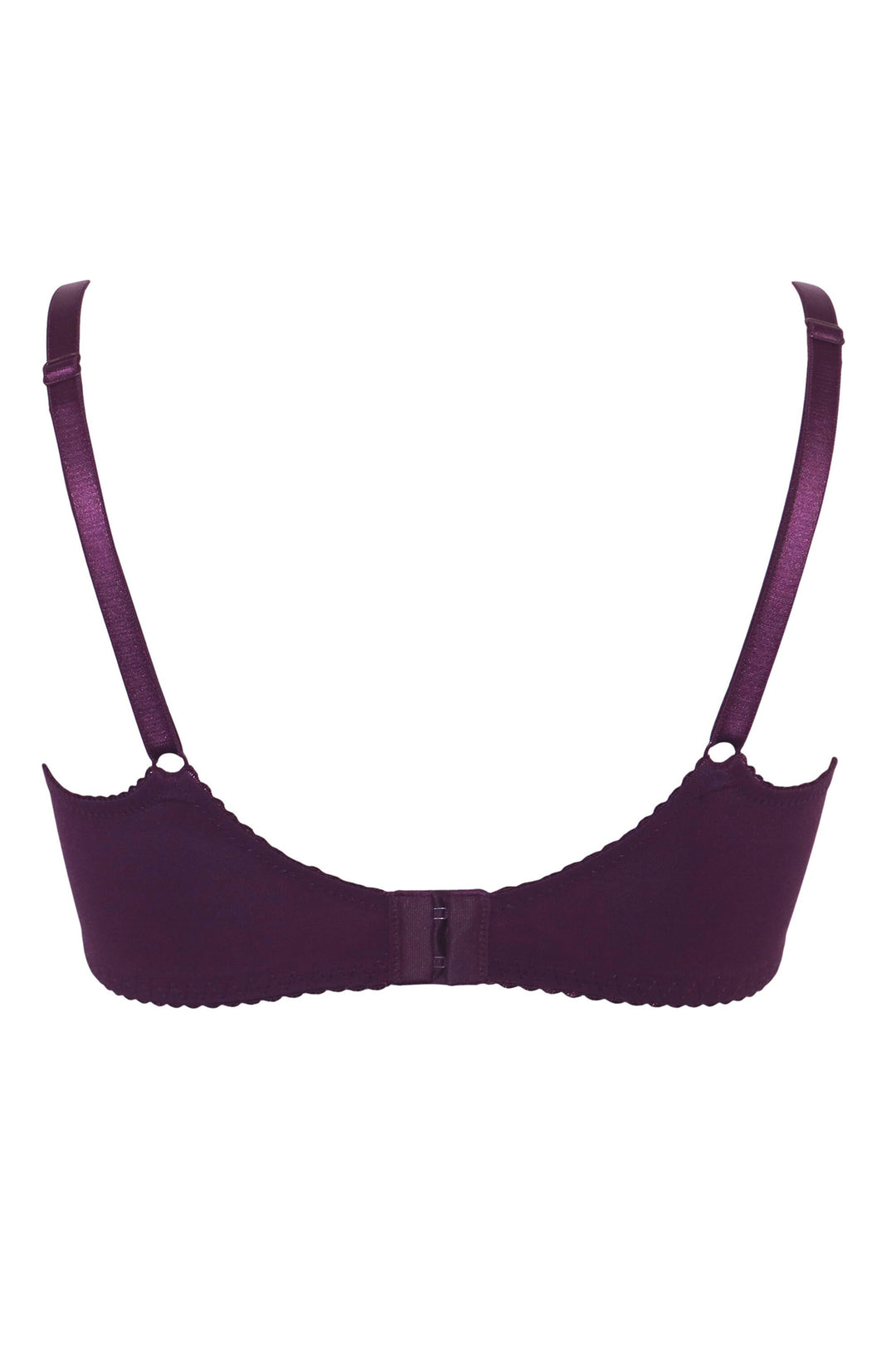 Purple bra on a white background