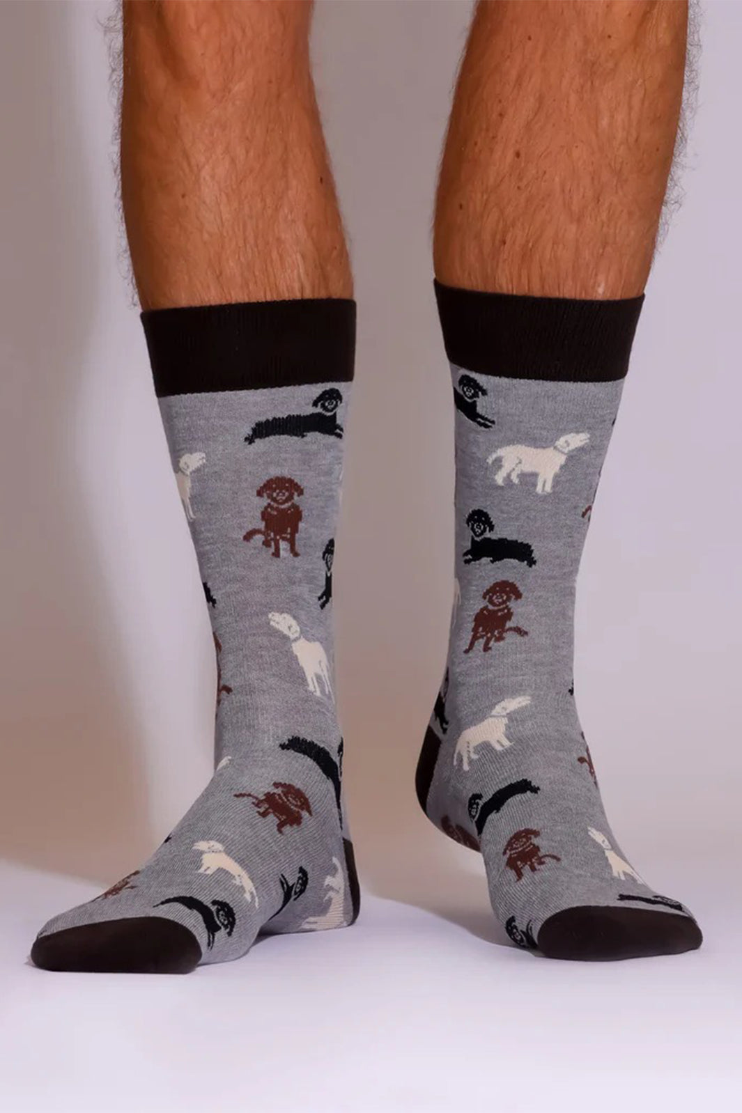 Eco Chic SKL03GY Grey Labradors Bamboo Socks