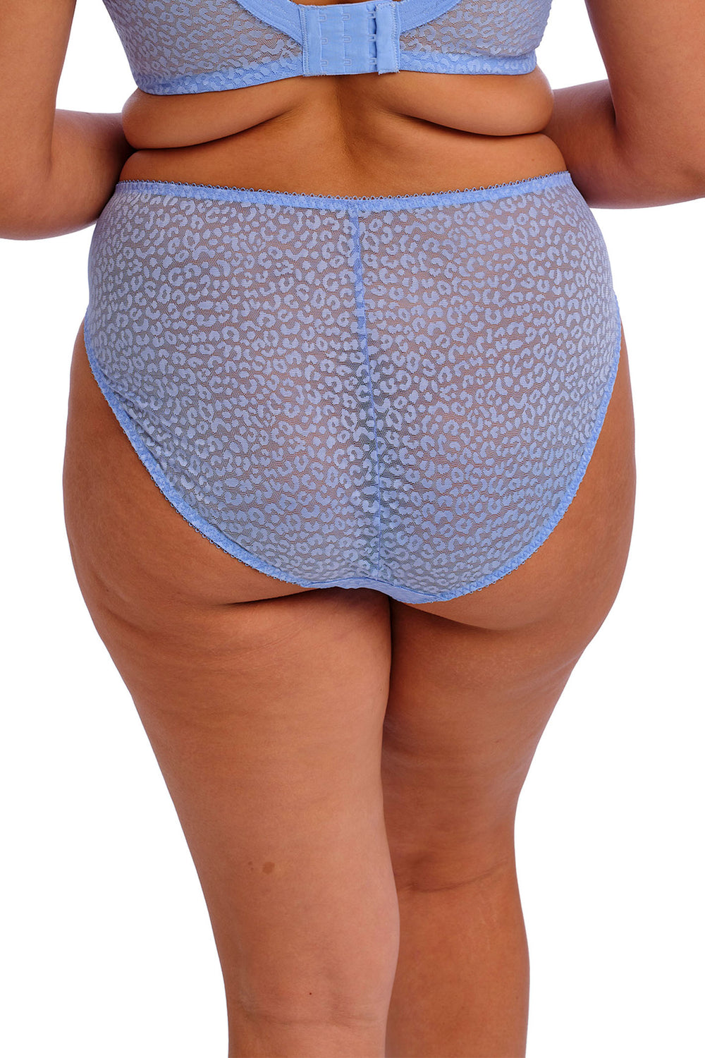 Elomi Lucie EL4496 COR Cornflower High Leg Brief - Shirley Allum Boutique
