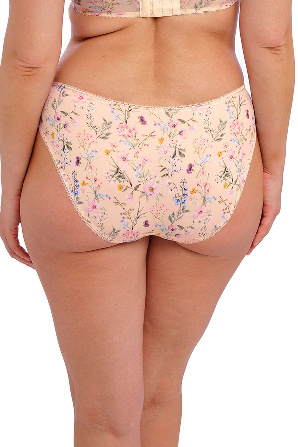 Fantasie Pippa Brief Summer Garden FL100750SUN - Shirley Allum Boutique