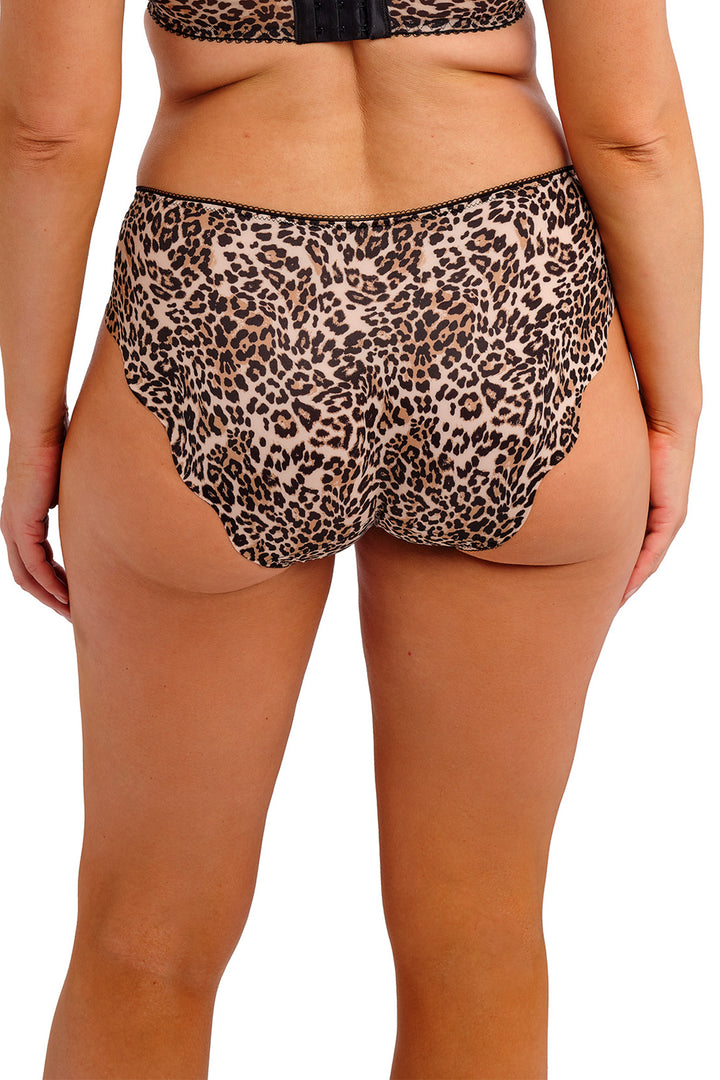 Fantasie Talia FL103950LED Brown Leopard Print Brief