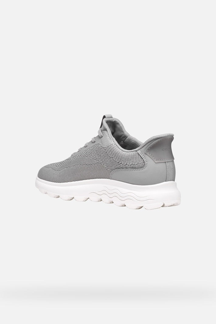 Gray sneaker on a white background
