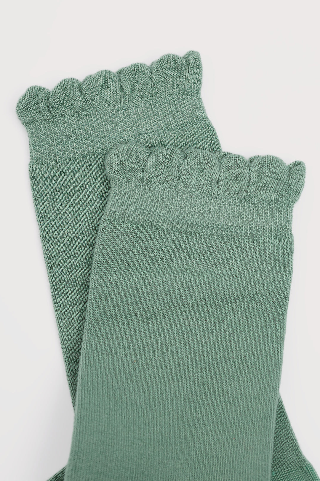 Seasalt AC39498-4344 Foliage Women's Scallop Sailor Socks