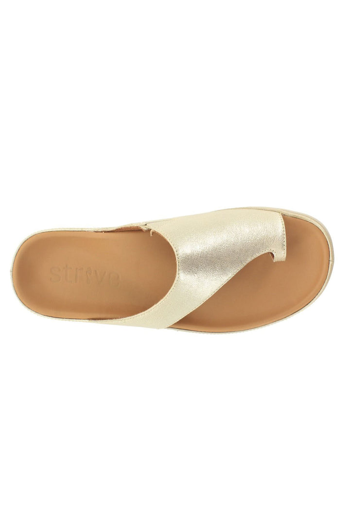 Strive Capri Gold Metallic Toe-Loop Leather Sandal - Shirley Allum Boutique