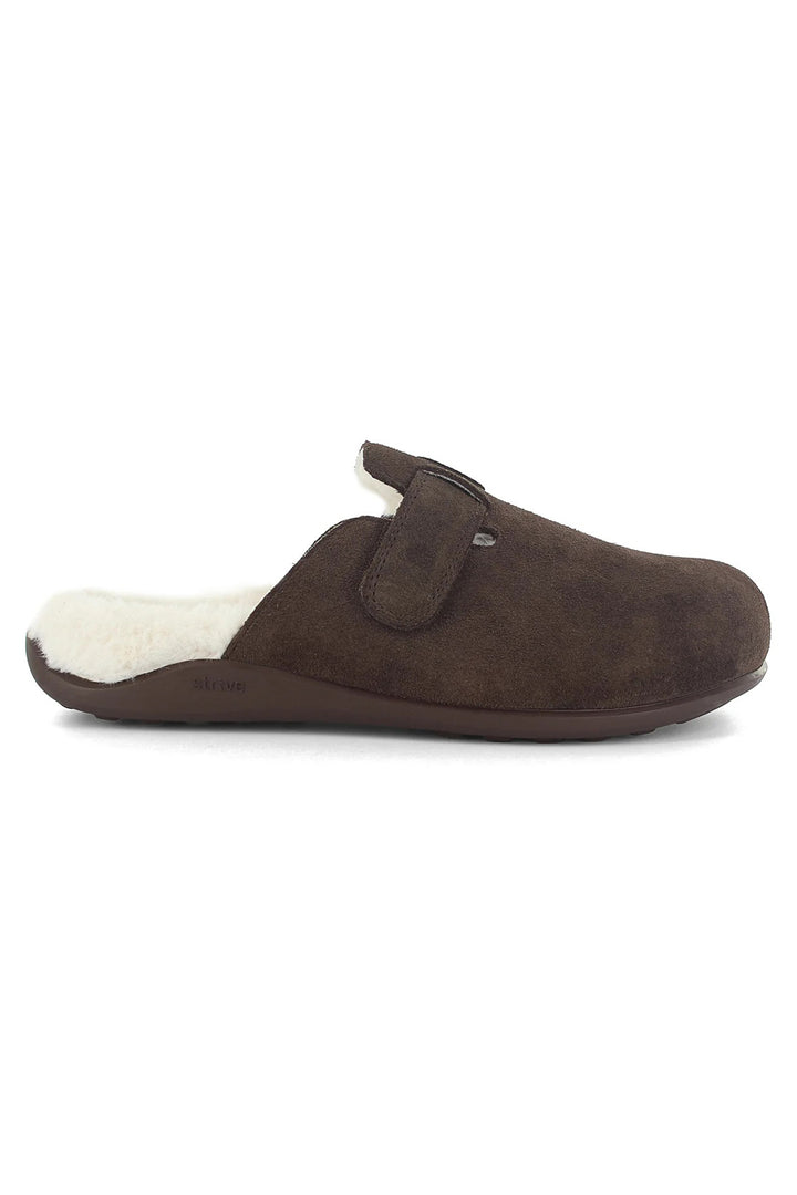 Brown slipper with white lining on a white background