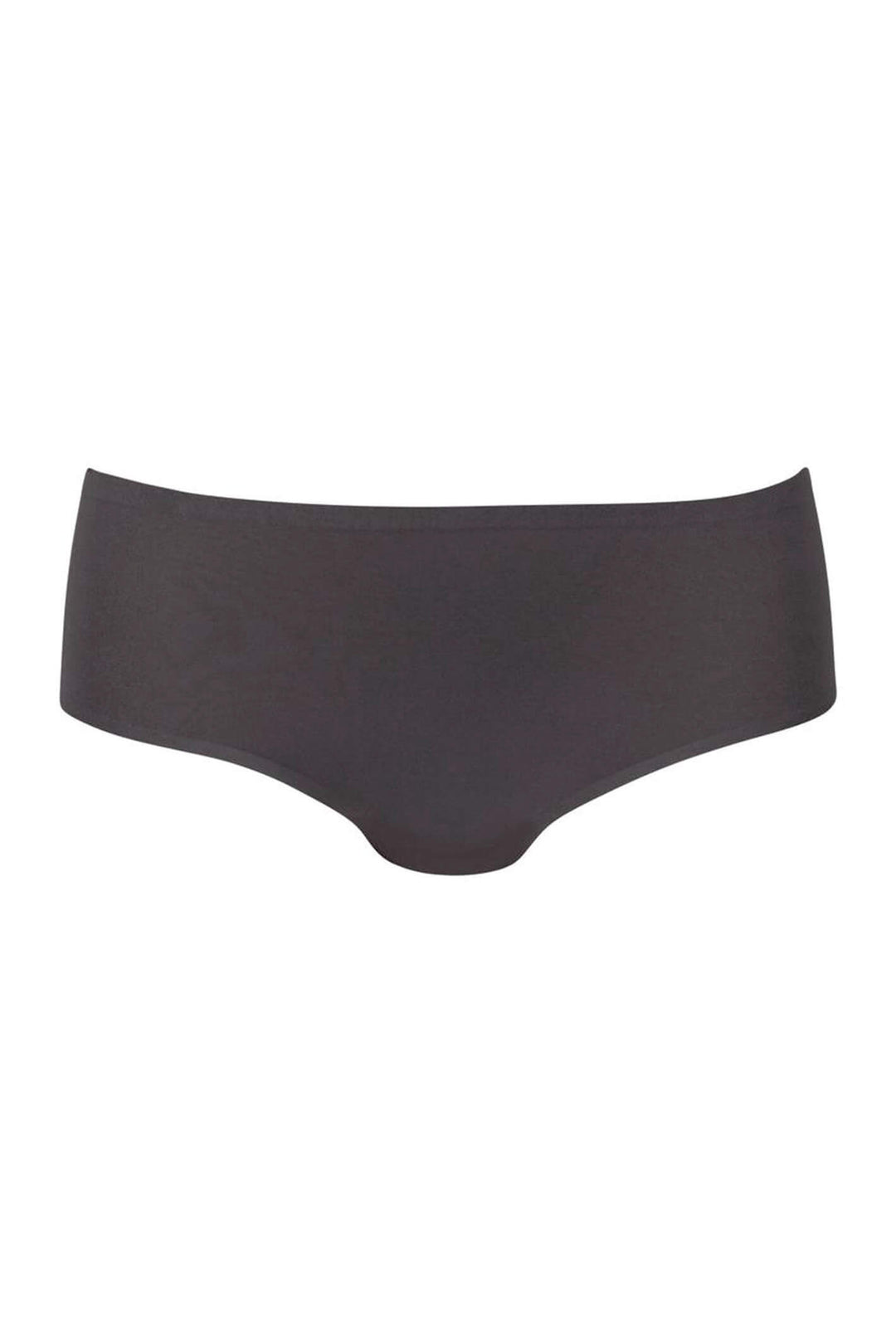 Anita 1342-408 Essential Anthracite Hipster Brief - Shirley Allum Boutique