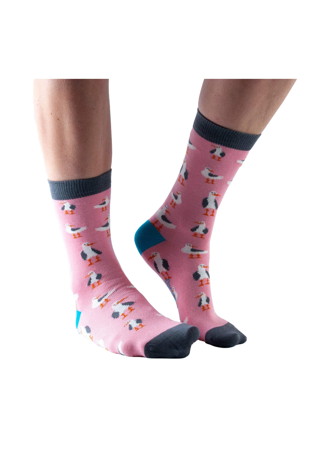 Doris & Dude 1141 Pink Seagull Socks - Shirley Allum Boutique