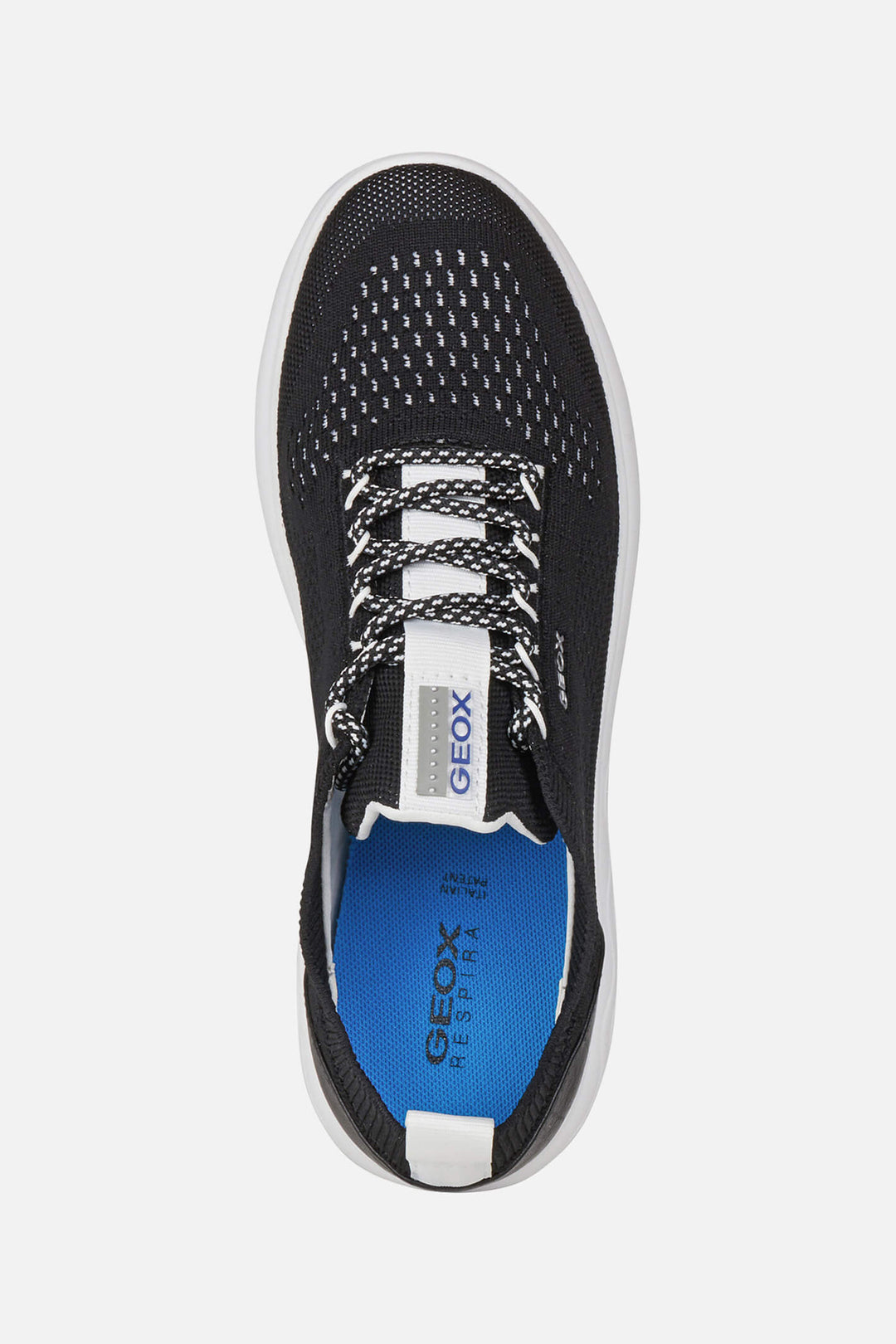 Geox Spherica D15NUA0006KC9999 Knitted Black Trainer - Shirley Allum Boutique