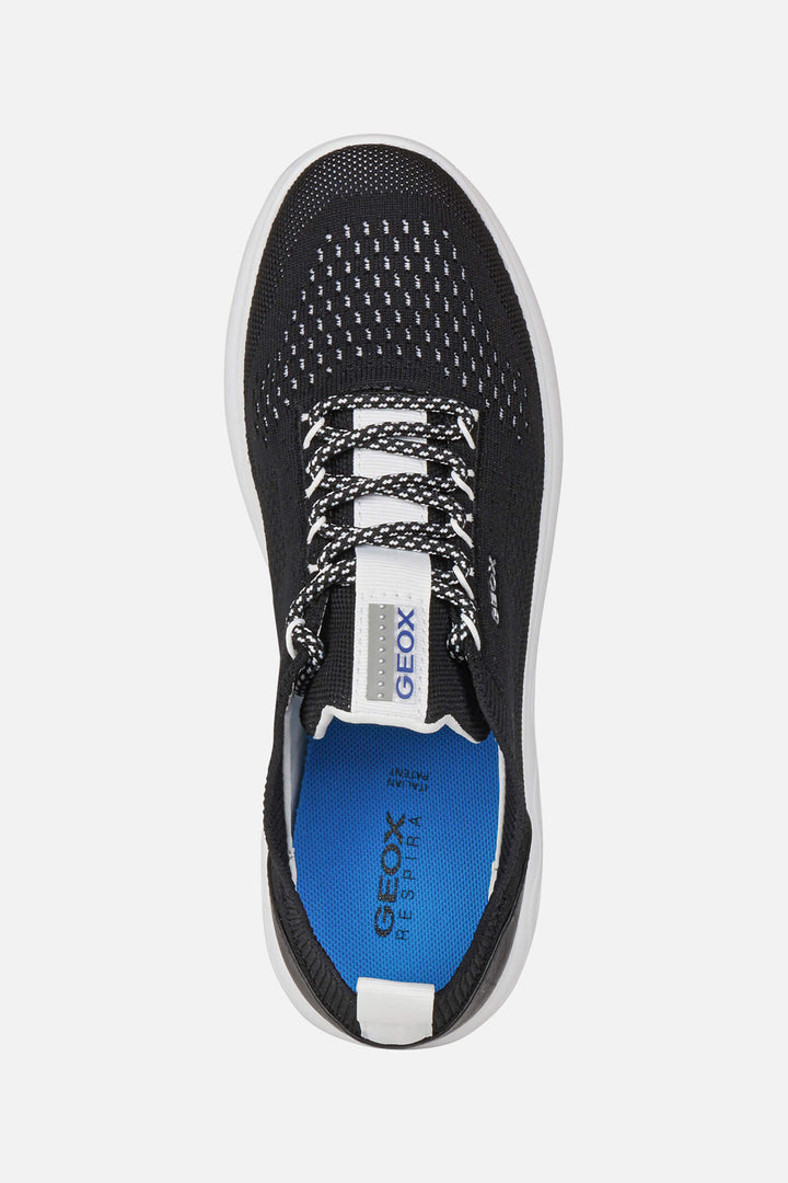 Geox Spherica D15NUA0006KC9999 Knitted Black Trainer - Shirley Allum Boutique
