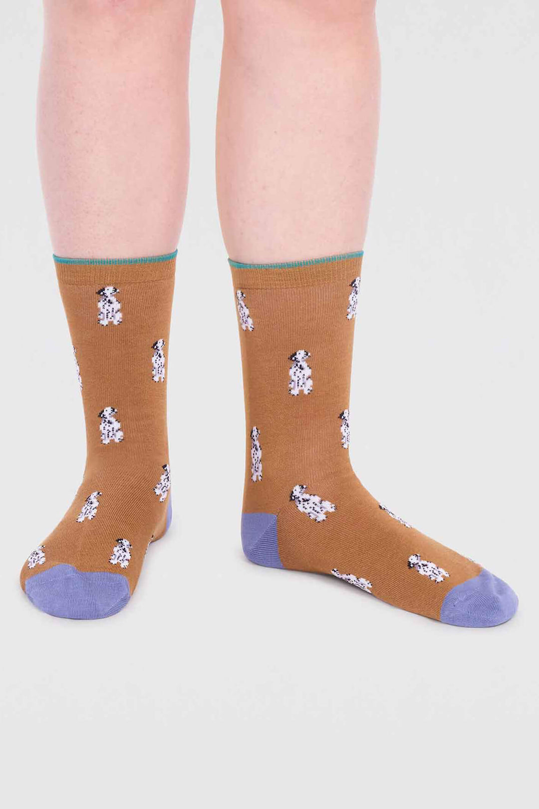 Thought SPW798 Kenna Straw Yellow Bamboo Dog Socks - Shirley Allum Boutique