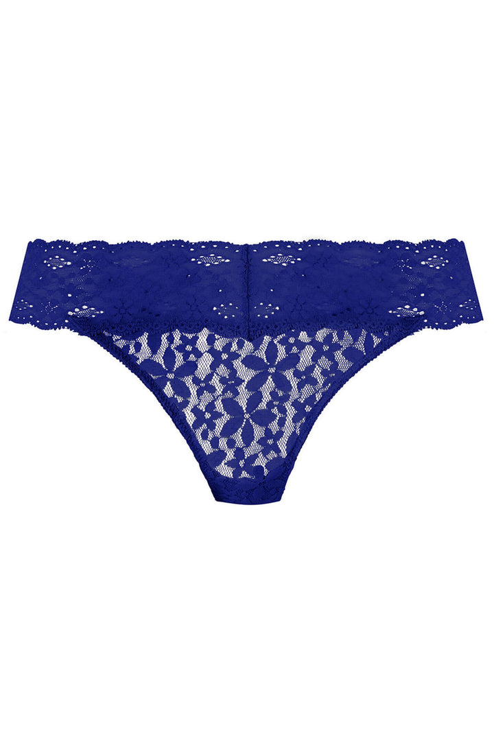 Wacoal WA878205438 Halo Lace Blue Bikini Brief - Shirley Allum Boutique